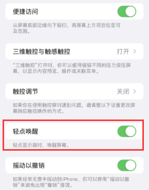 桓台苹果授权维修站分享iPhone轻点无法唤醒怎么办 