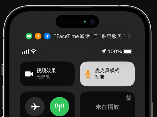 桓台苹果授权维修网点分享iPhone在通话时让你的声音更清晰 