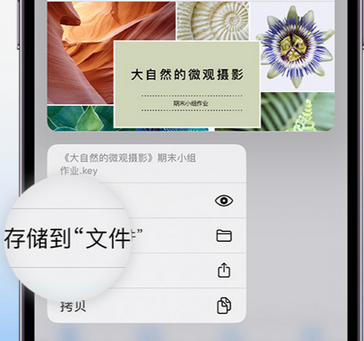 桓台apple维修中心分享iPhone文件应用中存储和找到下载文件