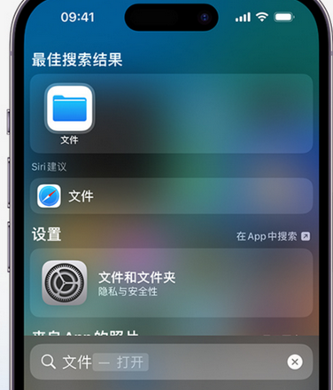 桓台apple维修中心分享iPhone文件应用中存储和找到下载文件 