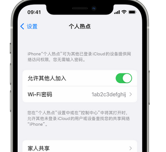 桓台apple服务站点分享iPhone上个人热点丢失了怎么办 