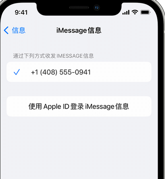 桓台apple维修iPhone上无法正常发送iMessage信息 