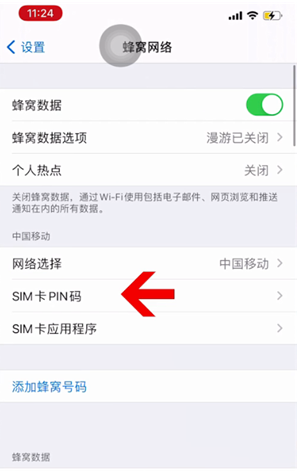 桓台苹果14维修网分享如何给iPhone14的SIM卡设置密码 