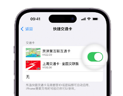 桓台apple维修点分享iPhone上更换Apple Pay快捷交通卡手绘卡面 