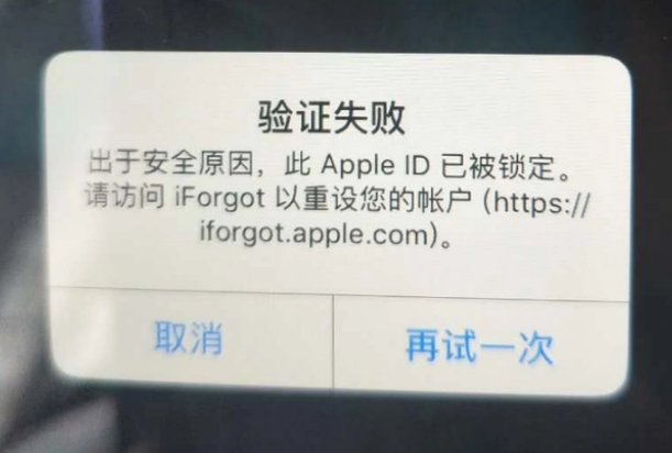 桓台iPhone维修分享iPhone上正常登录或使用AppleID怎么办 