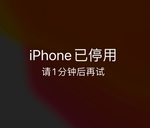 桓台苹果手机维修分享:iPhone 显示“不可用”或“已停用”怎么办？还能保留数据吗？ 