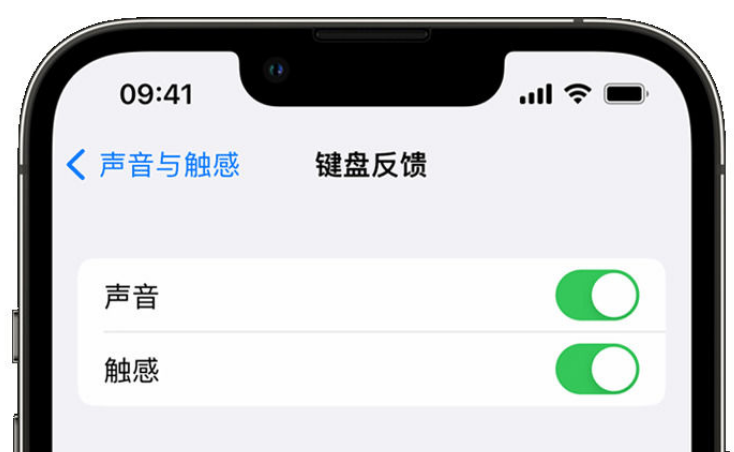 桓台苹果手机维修分享iPhone 14触感键盘使用方法 