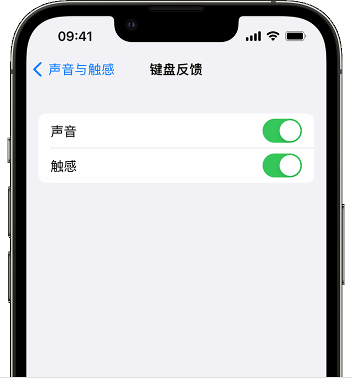 桓台苹果14维修店分享如何在 iPhone 14 机型中使用触感键盘 