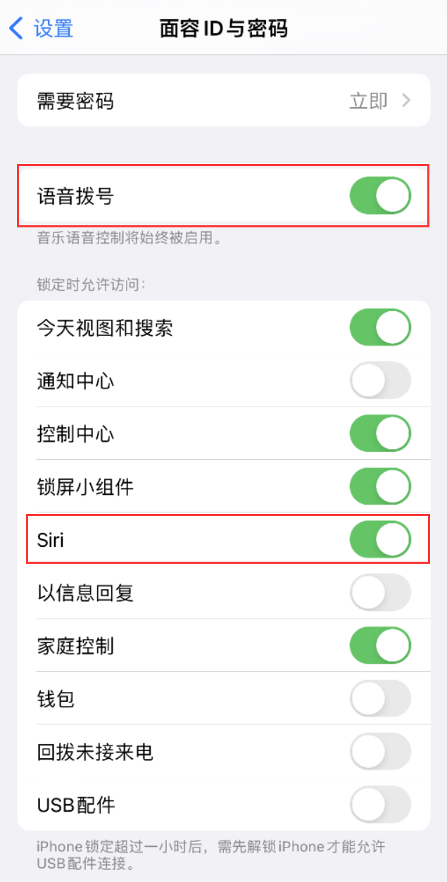 桓台苹果维修网点分享不解锁 iPhone 的情况下通过 Siri 拨打电话的方法 