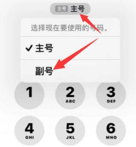 桓台苹果14维修店分享iPhone 14 Pro Max使用副卡打电话的方法 