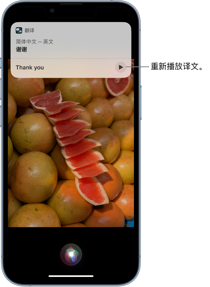 桓台苹果14维修分享 iPhone 14 机型中使用 Siri：了解 Siri 能帮你做什么 