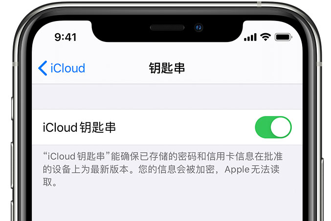 桓台苹果手机维修分享在 iPhone 上开启 iCloud 钥匙串之后会储存哪些信息 