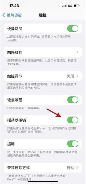 桓台苹果手机维修分享iPhone手机如何设置摇一摇删除文字 