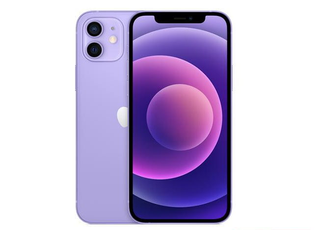 桓台苹果手机维修分享现阶段要不要入手紫色版iPhone12 