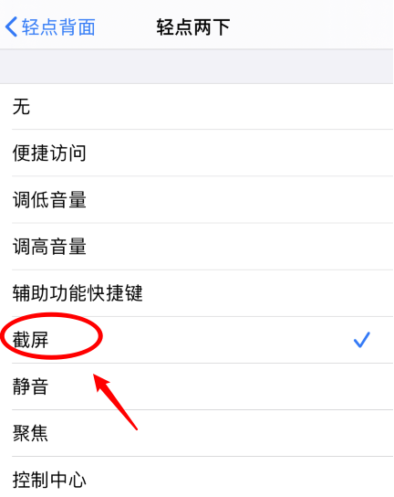 桓台苹果手机维修分享iPhone12如何启用双击截屏 